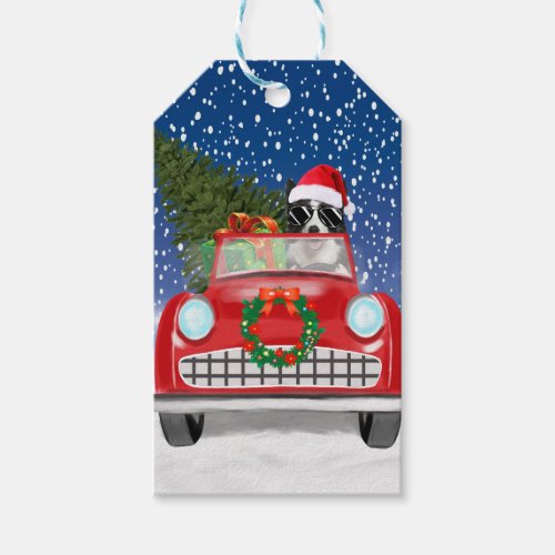 Border Collie  Dog Driving Car In Snow Christmas  Gift Tags