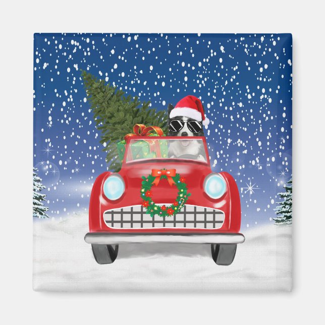 Border Collie  Dog Driving Car In Snow Christmas  Magnet (Front)
