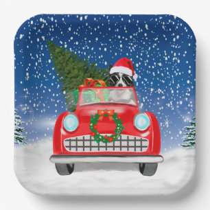Border Collie Dog Driving Car In Snow Christmas Paper Plates