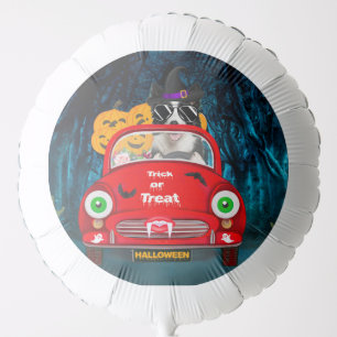 Border Collie Dog Driving Car Scary Halloween Balloon