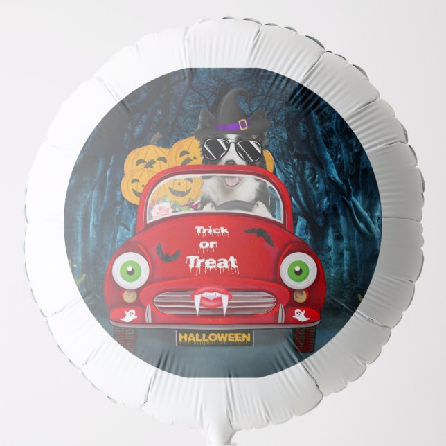 Border Collie Dog Driving Car Scary Halloween  Balloon (Front)