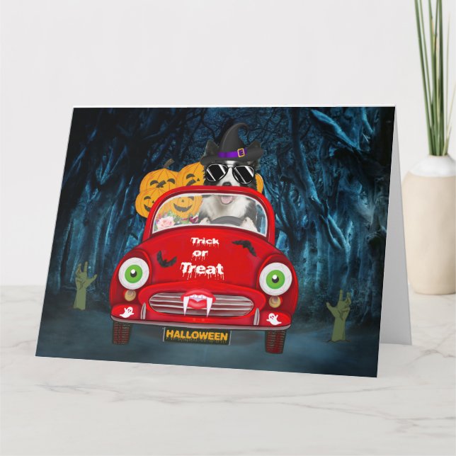 Border Collie Dog Driving Car Scary Halloween Card (Front)
