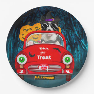 Border Collie Dog Driving Car Scary Halloween  Paper Plates