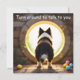 Border Collie dog - Easter Holiday Card