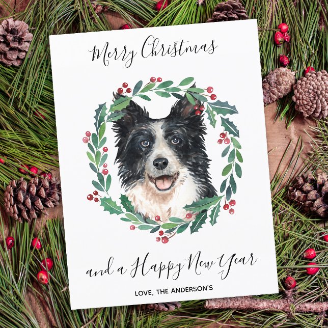 Border Collie Dog Elegant Merry Christmas Holiday Postcard (Creator Uploaded)