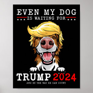 Border Collie Dog Even My Dog Is Waiting For Trump Poster