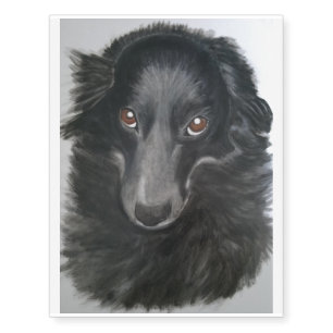 border collie dog face temporary tattoos