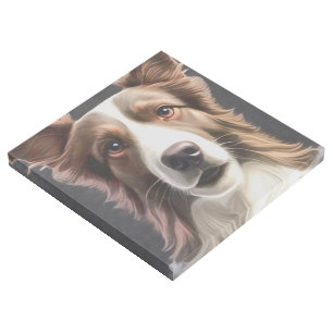 Border Collie Dog Fine Art Pet Portrait