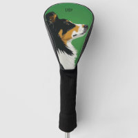 Border Collie Dog