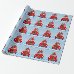 Border Collie Dog In Car With Santa Claus Wrapping Paper