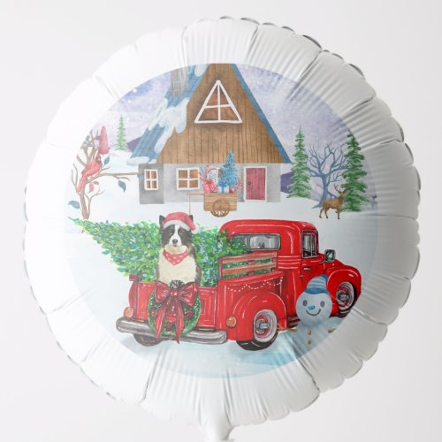 Border Collie dog In Christmas Delivery Truck Snow Balloon