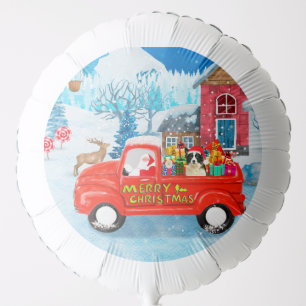 Border Collie Dog in Christmas Delivery Truck Snow Balloon