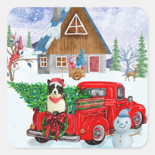 Border Collie dog In Christmas Delivery Truck Snow Square Sticker