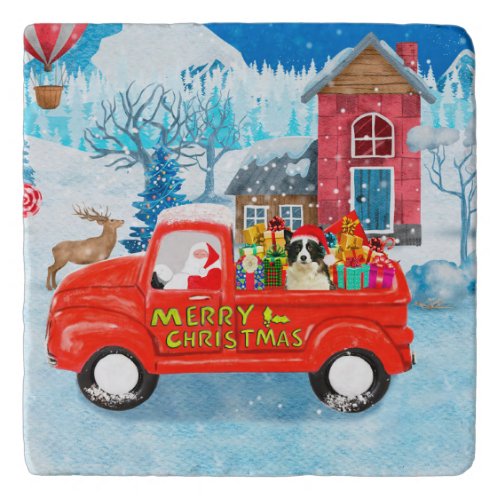 Border Collie Dog in Christmas Delivery Truck Snow Trivet