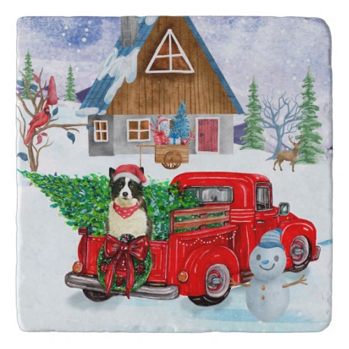 Border Collie dog In Christmas Delivery Truck Snow Trivet