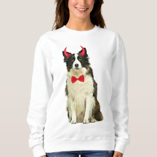 Border Collie Dog In Halloween Sweatshirt