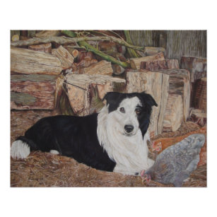 border collie dog in log shed with chickens art poster