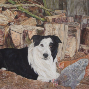 border collie dog in log shed with chickens jigsaw puzzle