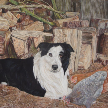 Border Collie Dog In Log Shed With Chickens Jigsaw Puzzle by artoriginals at Zazzle
