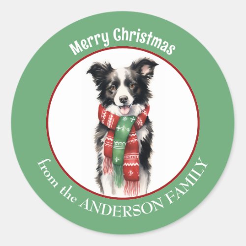 Border Collie Dog in Red and Green Christmas Scarf Classic Round Sticker