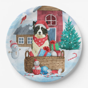 Border Collie Dog In snow Christmas Dog House Paper Plates