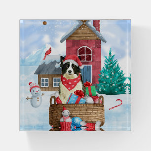 Border Collie Dog In snow Christmas Dog House  Paperweight