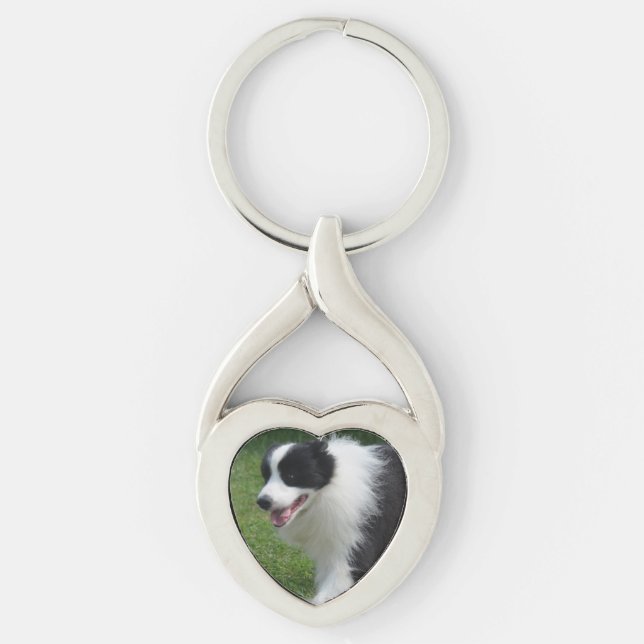 Border Collie Dog Keychain (Front)