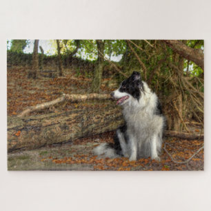 Border Collie Dog Large Jigsaw Puzzle