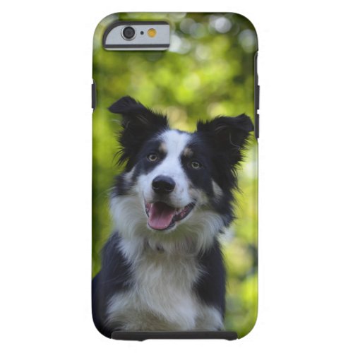 Border Collie dog lovers photo iphone 6 case