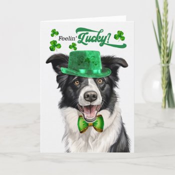 Border Collie Dog Lucky St Patrick's Day Holiday Card by PAWSitivelyPETs at Zazzle