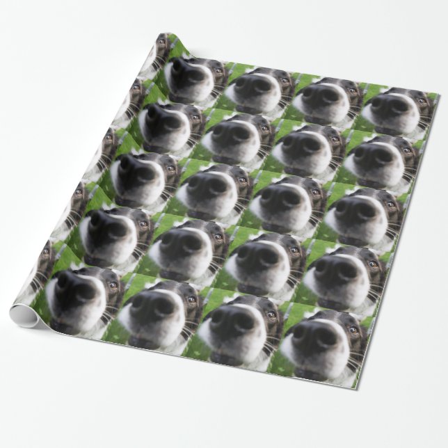 Border Collie Dog Nose Wrapping Paper (Unrolled)
