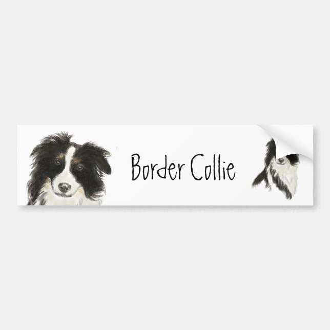 Border Collie Dog o Bumper Sticker (Front)