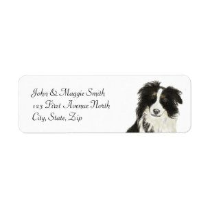 Border Collie Dog Pet Animal Custom Name Label