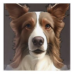 Border Collie Dog Pet Portrait Black Outline Art