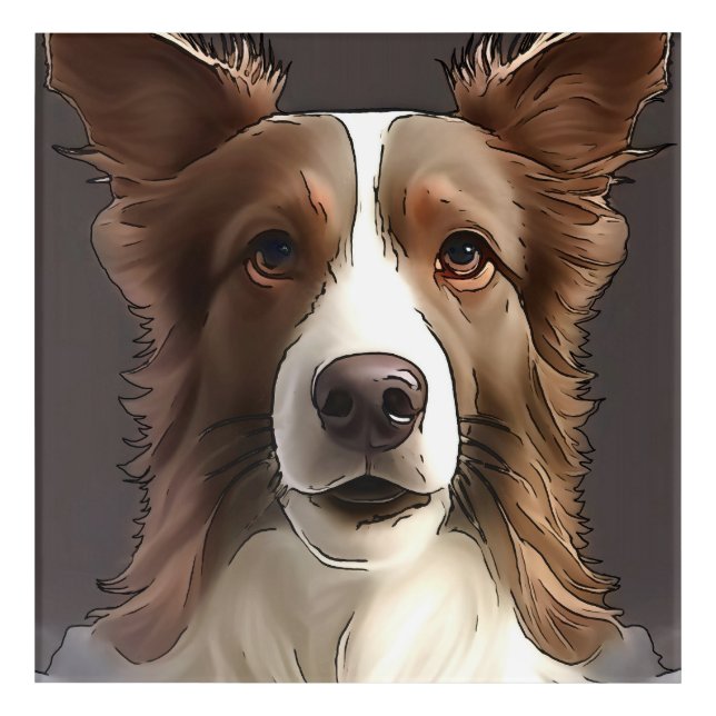 Border Collie Dog Pet Portrait Black Outline Art (Front)