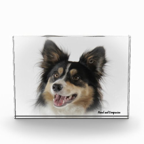 Border Collie Dog Photo Block