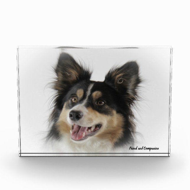 Border Collie Dog Photo Block (Front)