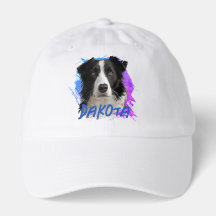 Border Collie Dog Photo