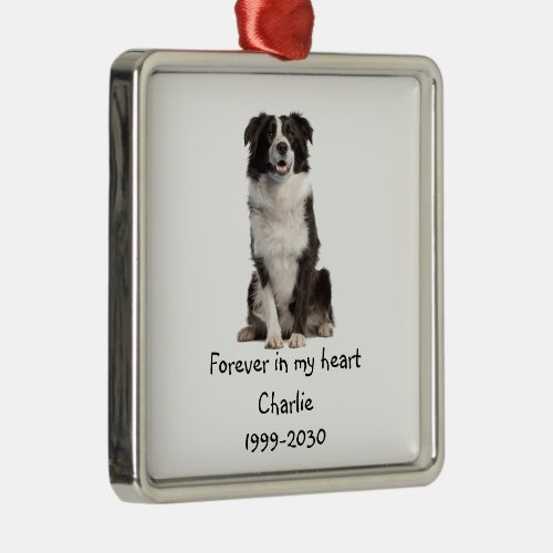 Border Collie Dog Photo Memorial Keepsake Metal Ornament