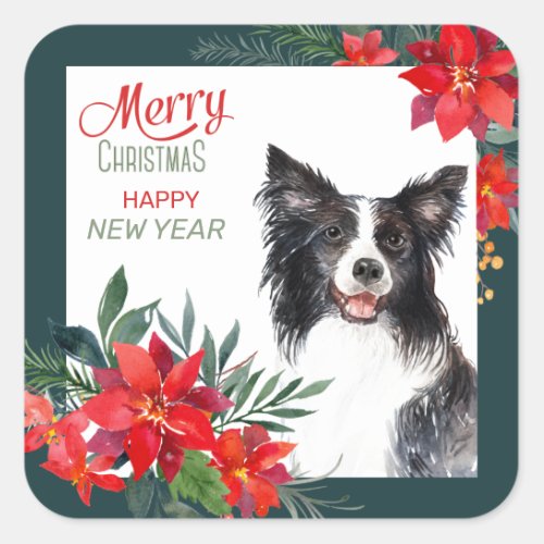 Border Collie Dog Poinsettia Bouquet Christmas Square Sticker