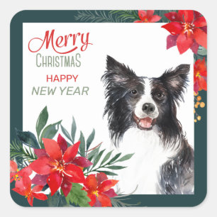 Border Collie Dog Poinsettia Bouquet Christmas Square Sticker