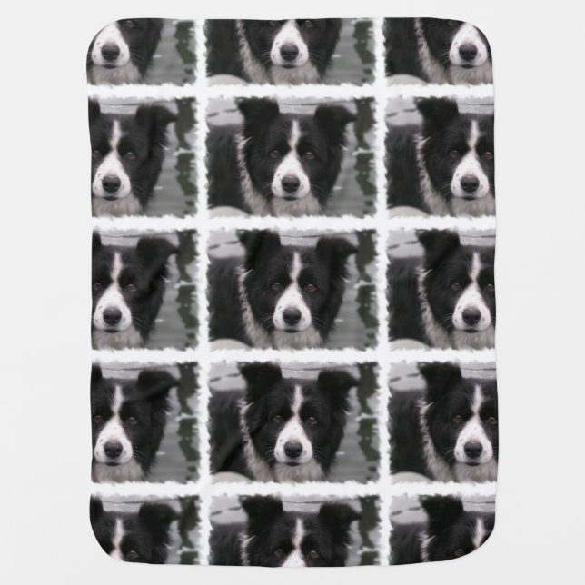 Border Collie Dog Receiving Blanket (Front)