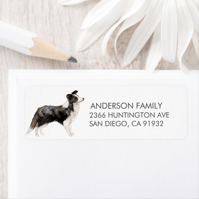 Border Collie Dog Return Address Label (Insitu)