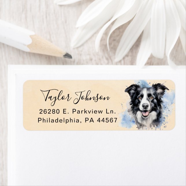 Border Collie Dog Return Address Label (Insitu)
