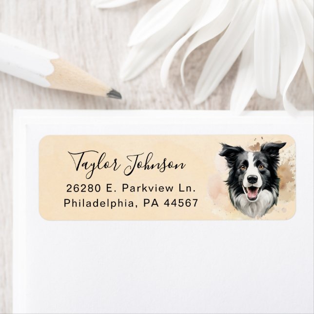 Border Collie Dog Return Address Label (Insitu)