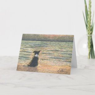 Border Collie dog says hello to the morning Card