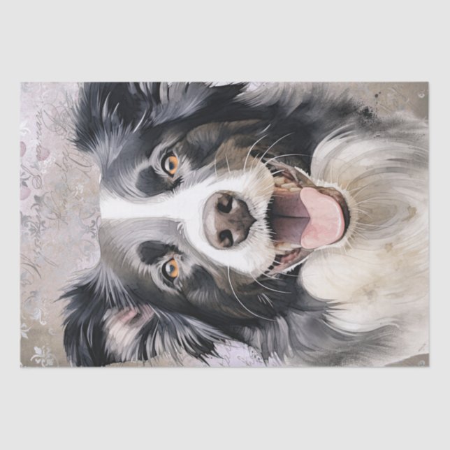 Border Collie Dog Tissue Paper (Front)