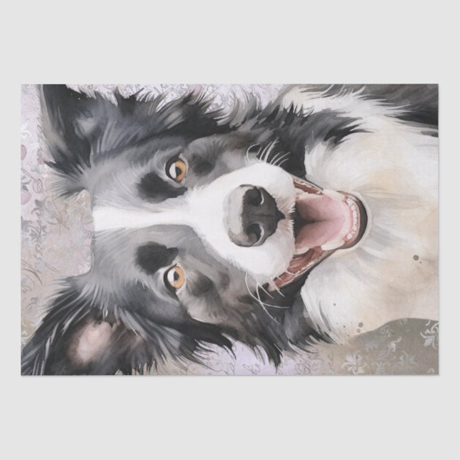 Border Collie Dog Tissue Paper (Front)