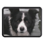 Border Collie Dog Tow Hitch Cover