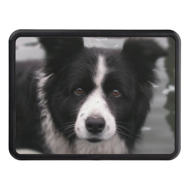 Border Collie Dog Tow Hitch Cover (Front)